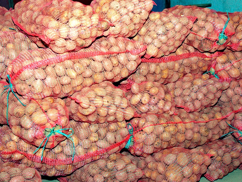 Минсельхоз просит Минпромторг поддержать идею о продаже мелкого картофеля