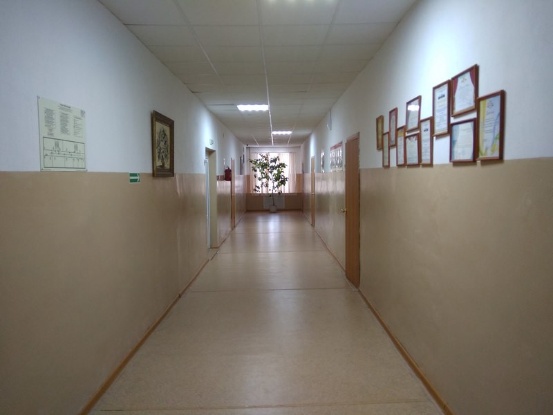 СК РФ начал проверку из‑за рассказа об издевательствах над детьми в реабилитационном центре Бузулука