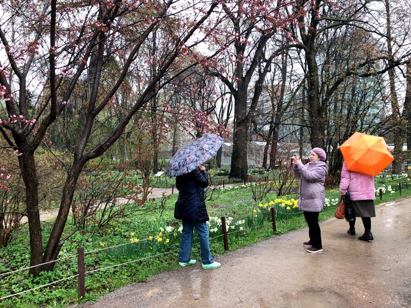 После майских праздников в Москву вернется солнечная погода