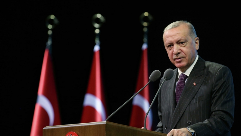 Сенатор назвал позицию Эрдогана по Крыму упрямой