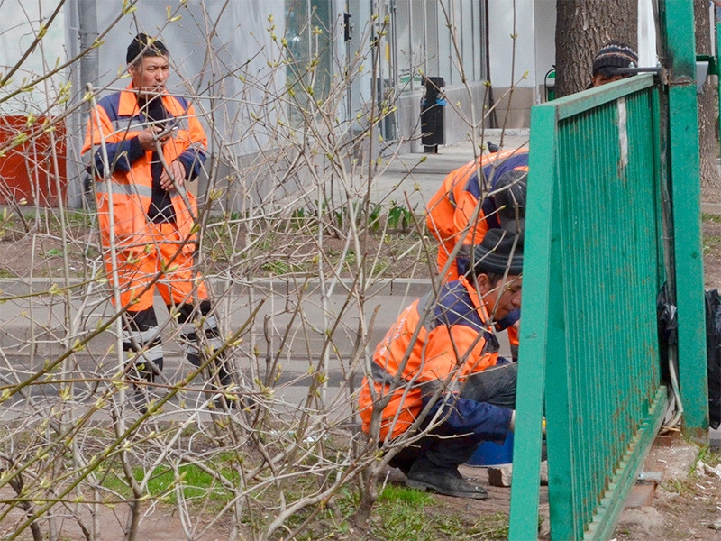 Мигрантов обяжут получать единый документ для длительного пребывания в России