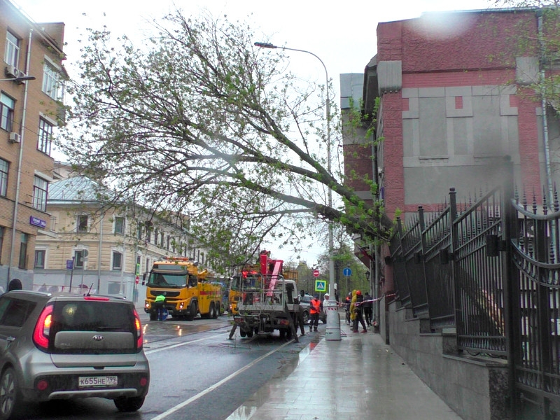 В Москве  ураган повалил 56 деревьев, повреждены 44 автомобиля.