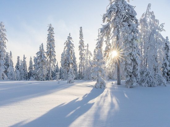 В Гидрометцентре сообщили о приближении "ныряющего" циклона к европейской части России