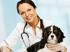 Ветеринарная клиника: когда не стоит откладывать визит к специалисту?