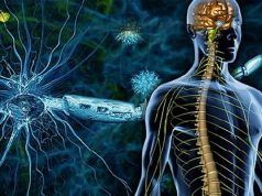 Заболевания нервной системы