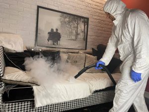Профессиональная дезинфекция от клопов: Эффективное решение