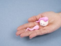 Криопротокол ЭКО