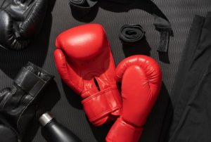Товары для бокса и единоборств: перчатки, шлемы, груши